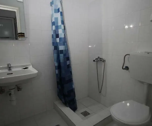 Elena Otel *
